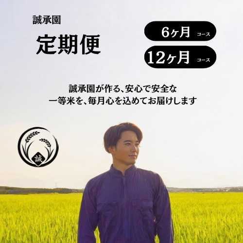 【定期便】親子米 にじのきらめき