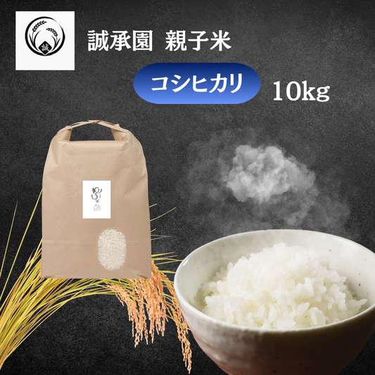 【新米予約】誠承園産 親子米 コシヒカリ 10kg