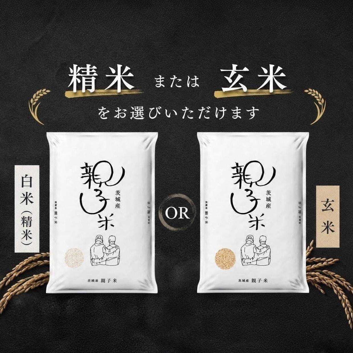 【定期便】親子米 にじのきらめき